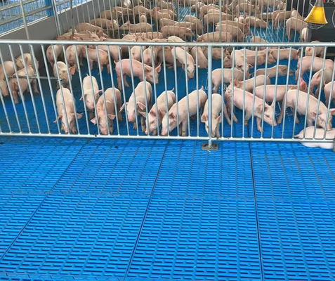 Hochfeste Glasfaserfußbodengitter FRP-geformte Gitter für Schweine-Hühner-Schafe