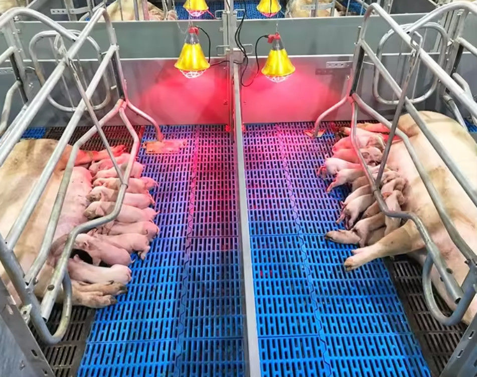 Hochfeste Glasfaserfußbodengitter FRP-geformte Gitter für Schweine-Hühner-Schafe